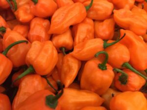 Trevin’s Habanero Sauce